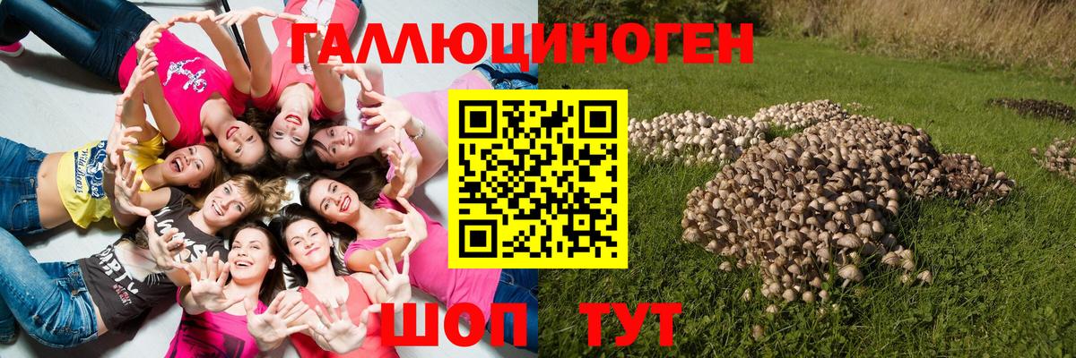 купить наркотики сайты  Вход с VPN  Лабинск  Псилоцибиновые грибы мухоморы 